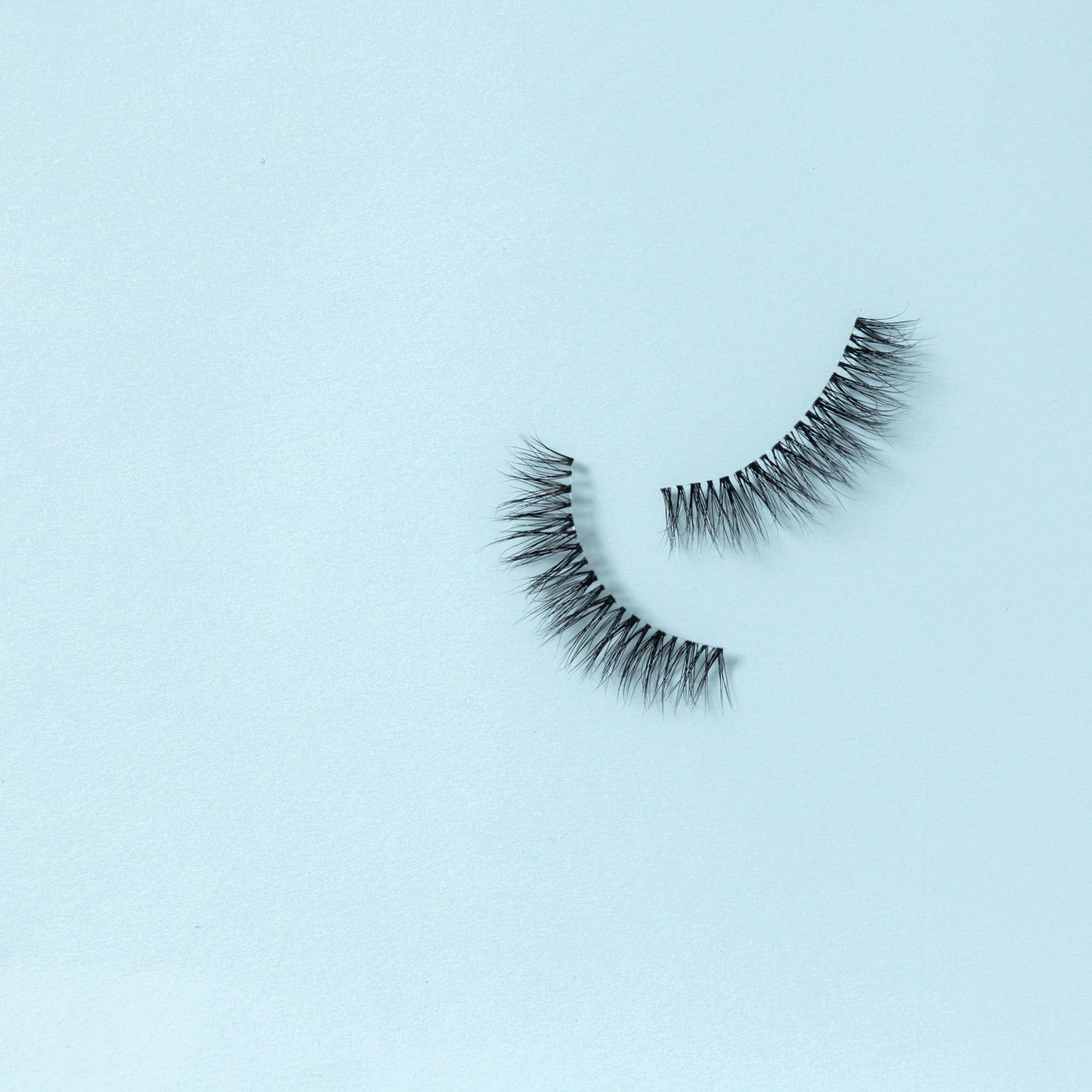 Premium Eye Lashes - SO BOSSY
